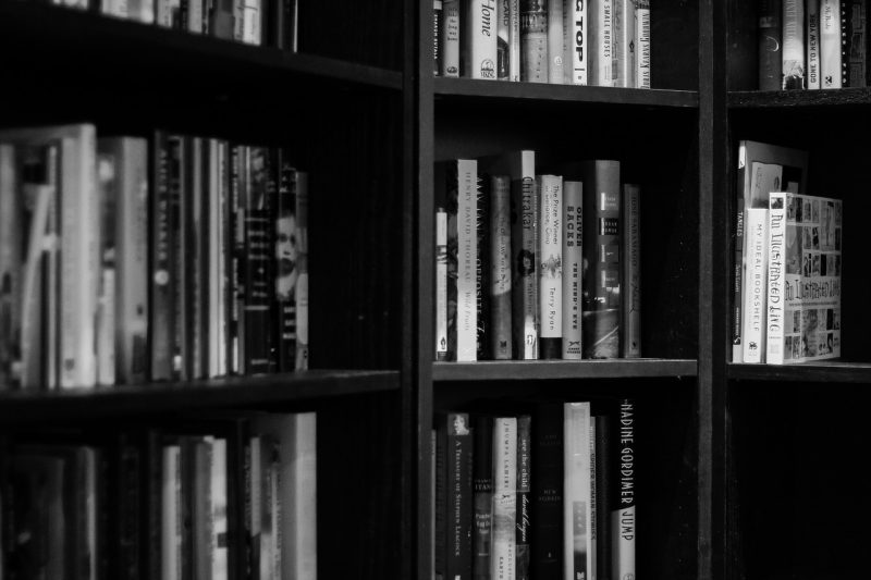 bookshelves-932780_1280