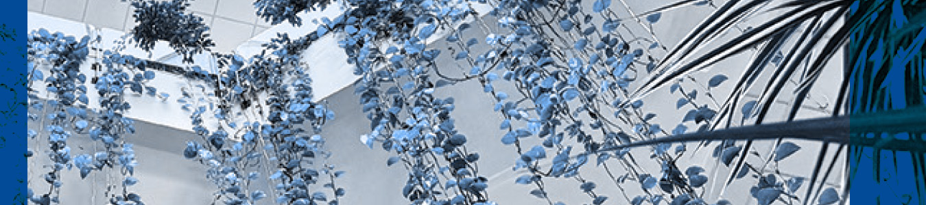 banner per sito 1350x300px