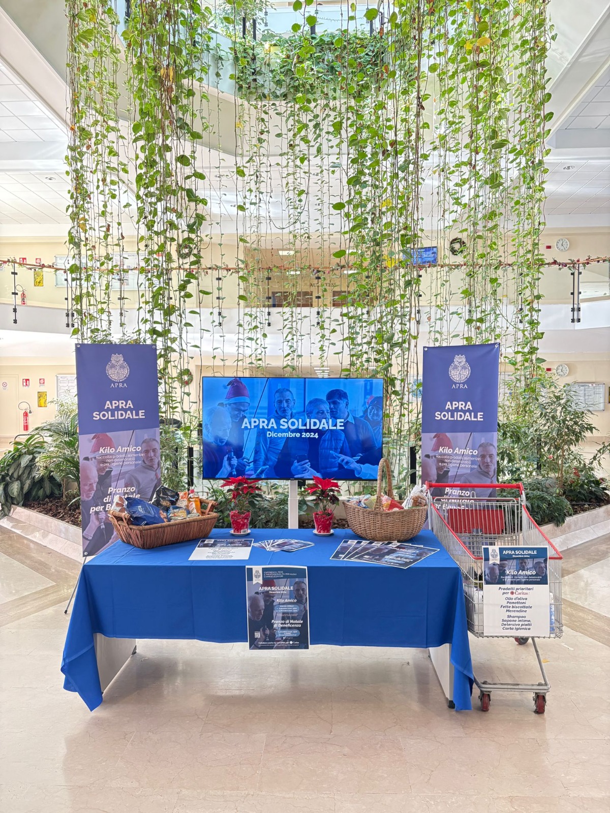 WhatsApp Image 2024-12-02 at 13.08.28